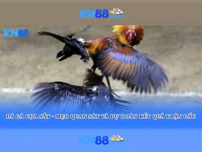 💎golden temple hb88 slot💎