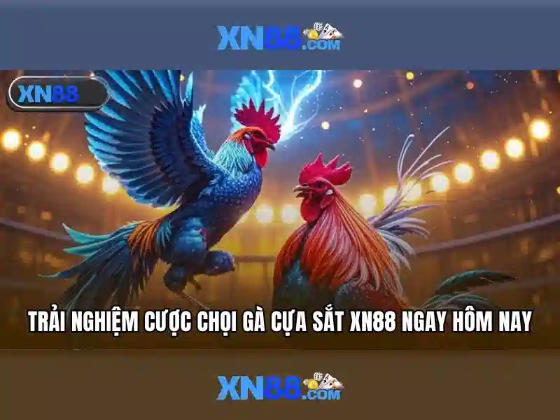💎kèo nhà cái cup nam my💎