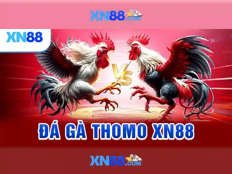 💎tf88 nhà cái💎