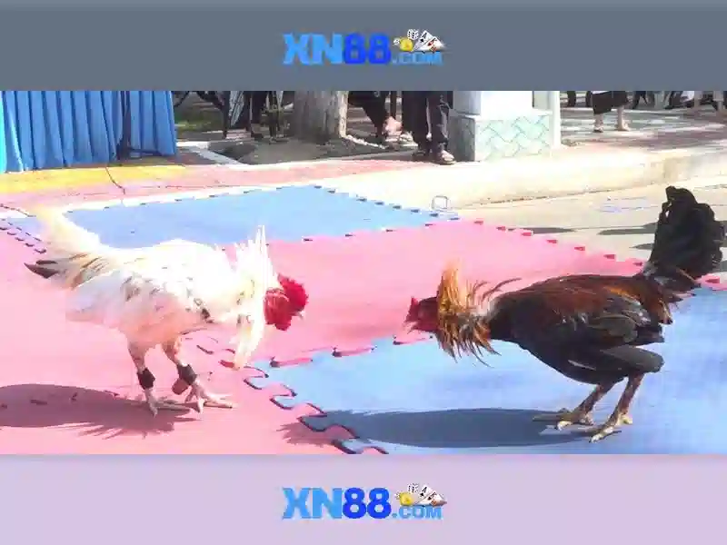 💎vụ án sòng bạc💎