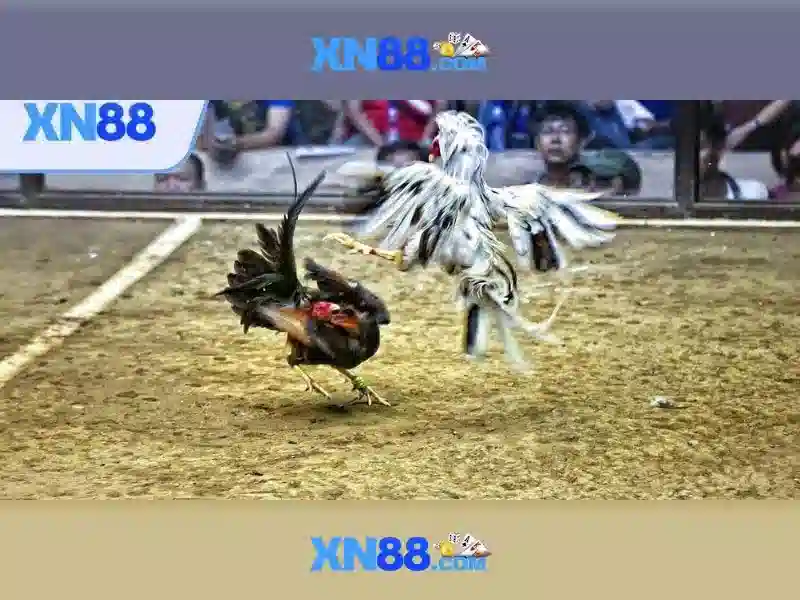 💎188bet trang chủ nhà cái #1 châu âu💎