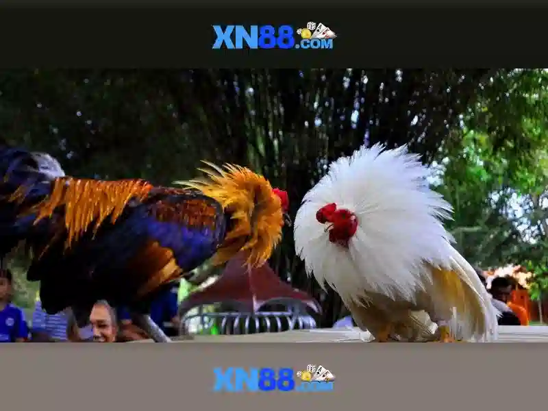 💎cách đánh bạc vlcm💎