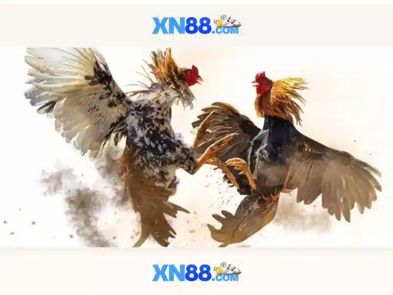 💎xn88 store💎 - xn88. com - xn88-official