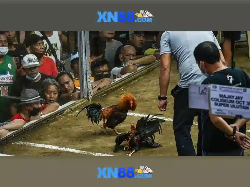 💎888slot luck💎