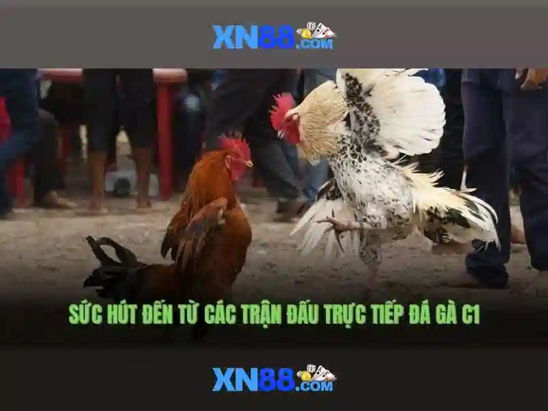 💎ocean king jackpot xn88💎