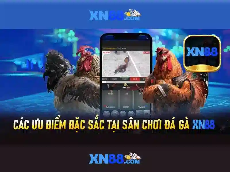 Đăng Nhập XN88: Khám Phá Quy Trình 3 Bước Đơn Giản Nhất Cho Người Chơi Slot - XN88