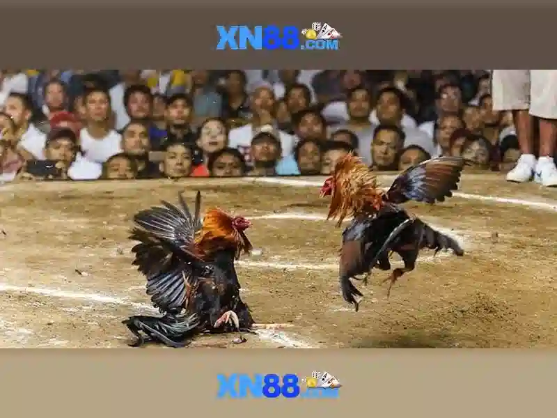 💎bet xn88 99💎