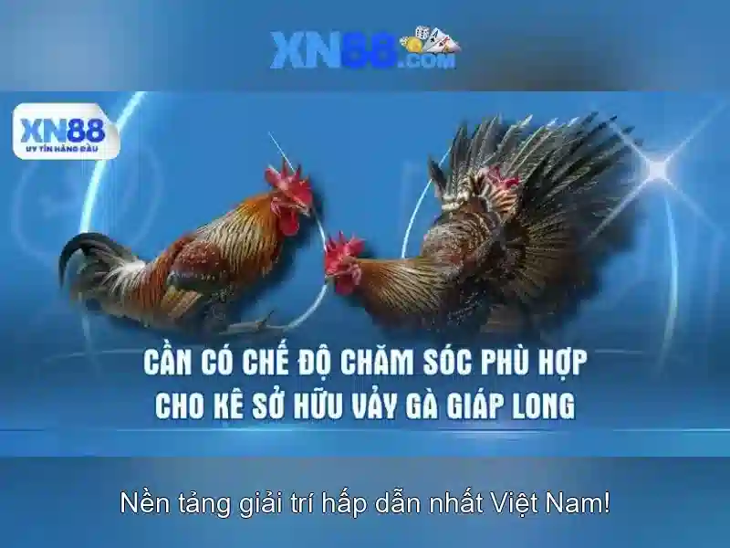 💎giáng sinh cá cược vnloto💎