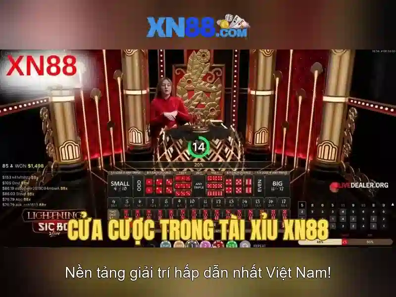 💎xn88 cty💎