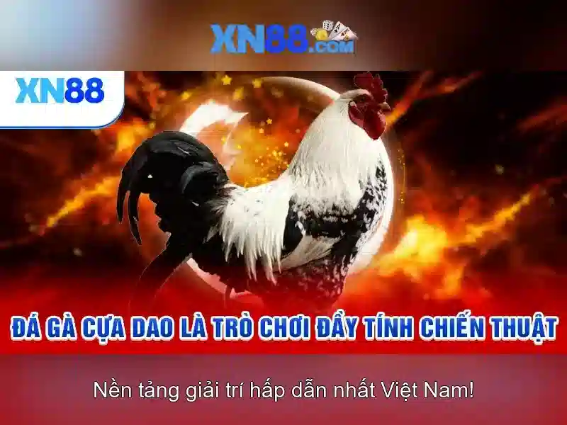 XN88 – Đánh Giá XN88 Có Uy Tín Không 2026 - XN88
