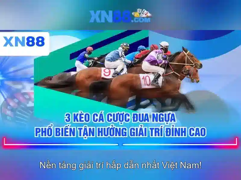 xn88 - Hướng dẫn tối ưu trải nghiệm cá cược trực tuyến an toàn và hiệu quả