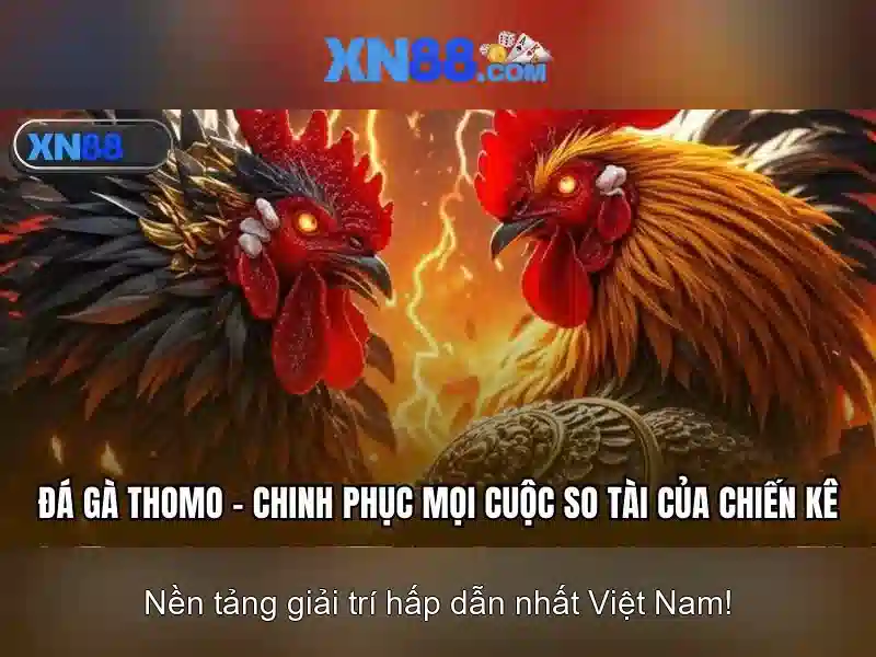 💎xn88 tải về💎
