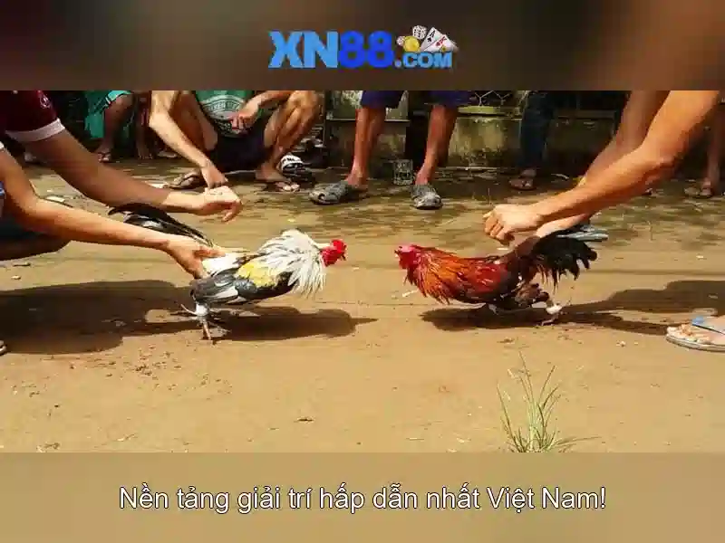  hướng dẫn đăng nhập XN88 - XN88