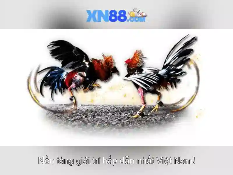 💎888slot media💎