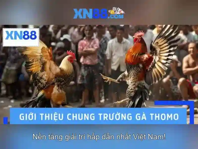 💎fun88 link trang chủ nhà cái💎