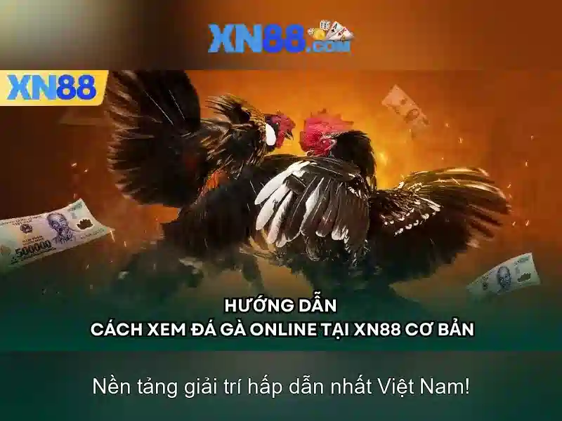 💎xn88 0088💎