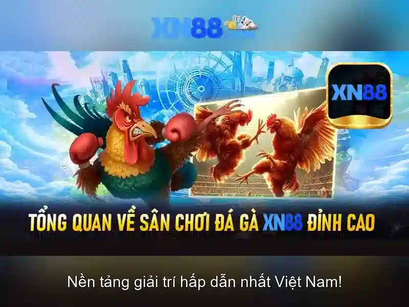💎69-xn88💎