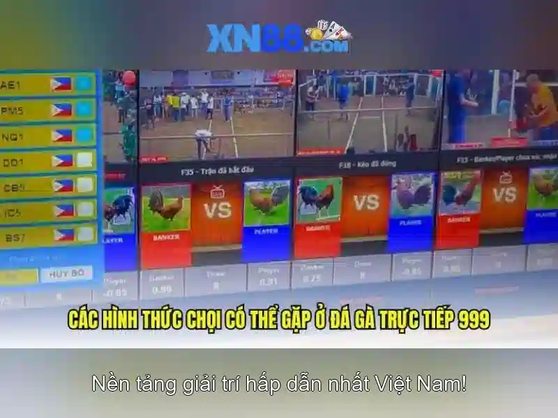 💎888slot casino⚡️ nhà cái 888slot – cập nhật link vào mới nhất 2025 thành phố hồ chí minh💎