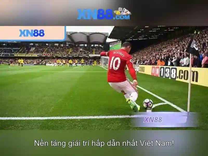  giải trí - XN88