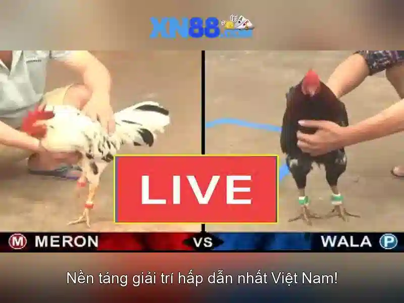 💎10 xn88 slot game💎