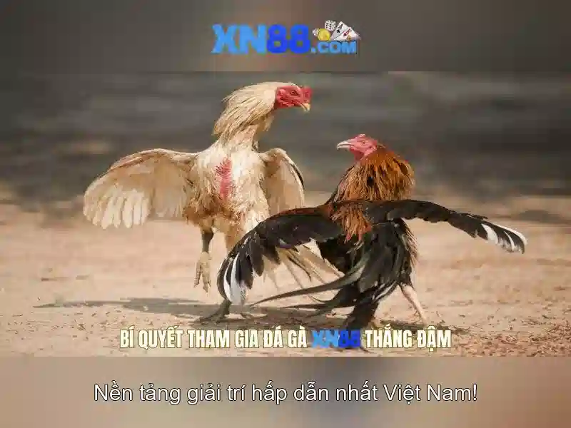 💎agen xn88 judi slot💎
