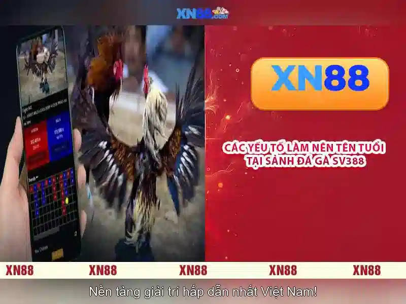  XN88 Game 2026 - XN88