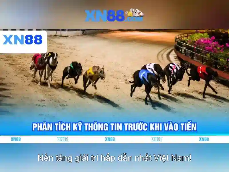 Ứng dụng XN88 – Trải nghiệm Slot 2026 - XN88