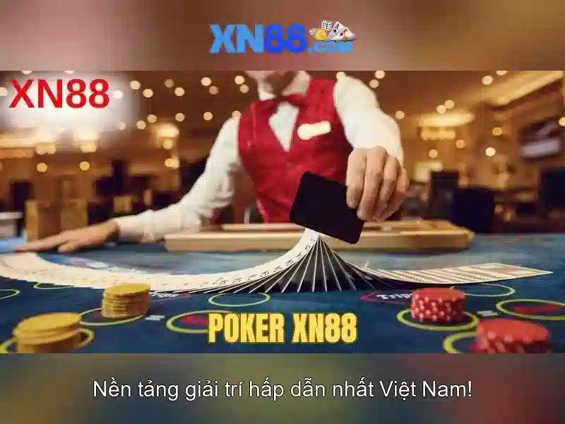 💎mv xn88💎