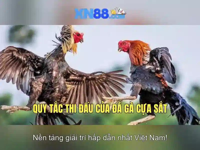 💎888 slot 1111.com💎