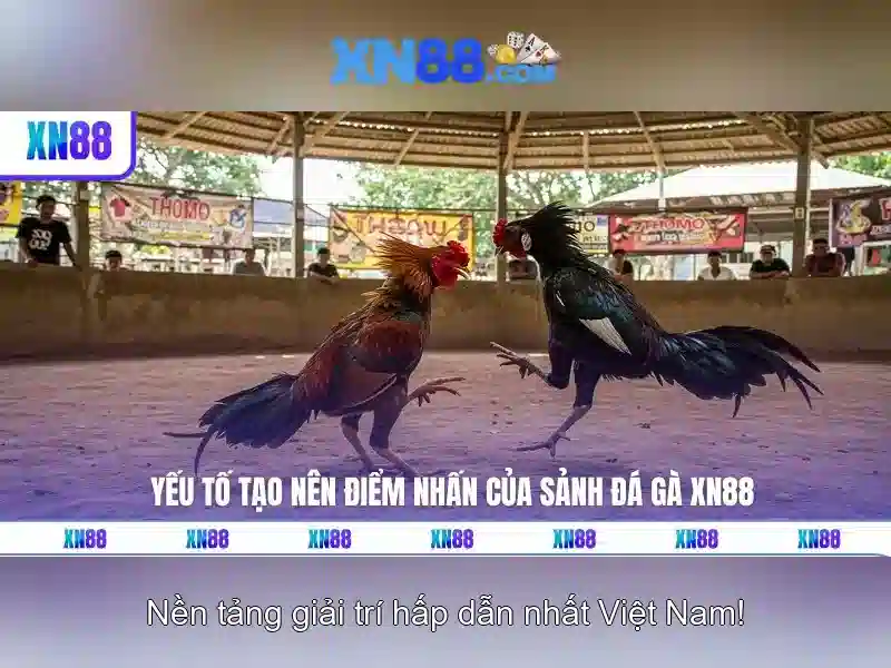 💎xn88 free 100 bonus registration no deposit💎