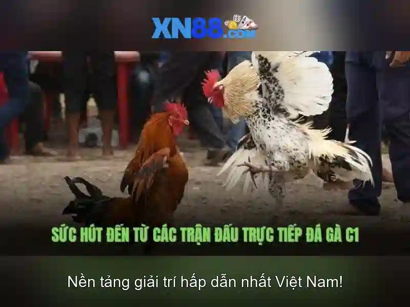  Tải Ứng Dụng XN88 - XN88