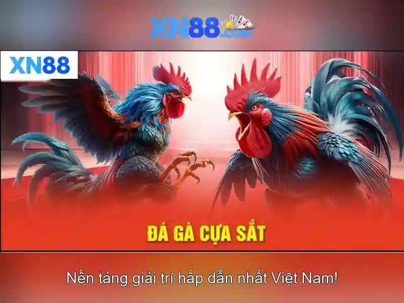 💎casino 888slot lengbear poker slots💎