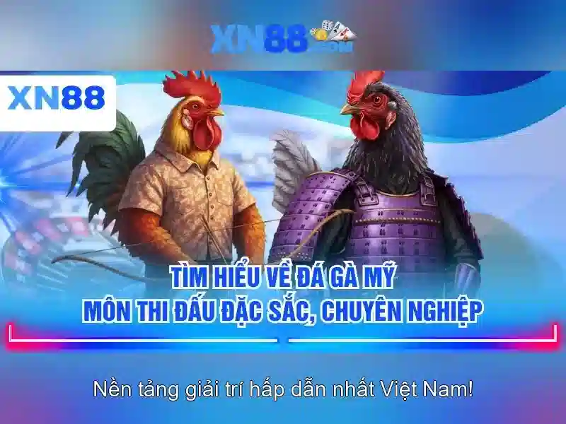 💎hb88 uy tin💎 - hb88 vn cơ - hb88 trực tiếp bóng đá