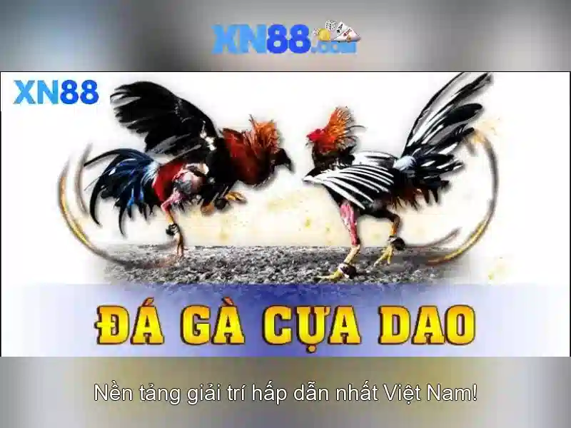 💎vụ đánh bạc ở bình phước💎