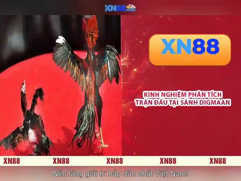 💎888 slot 365 bet💎