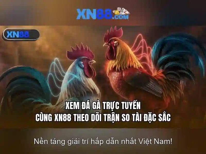 xn88 - Hướng dẫn tối ưu trải nghiệm cá cược trực tuyến an toàn và hiệu quả