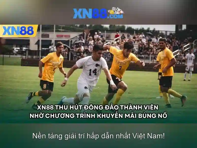 💎nhà cái euro888💎