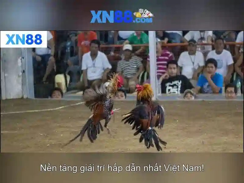 💎888 slot 892💎