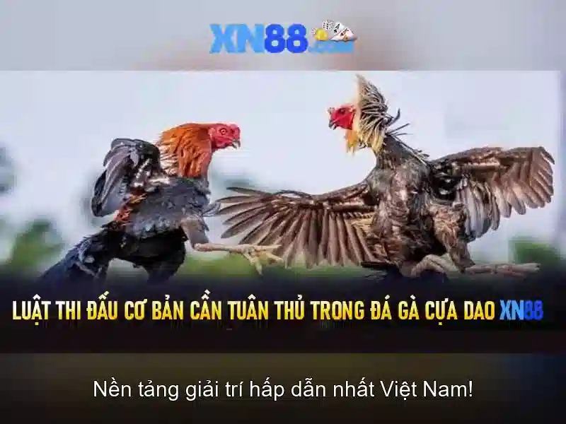 💎888 slot slot interview💎